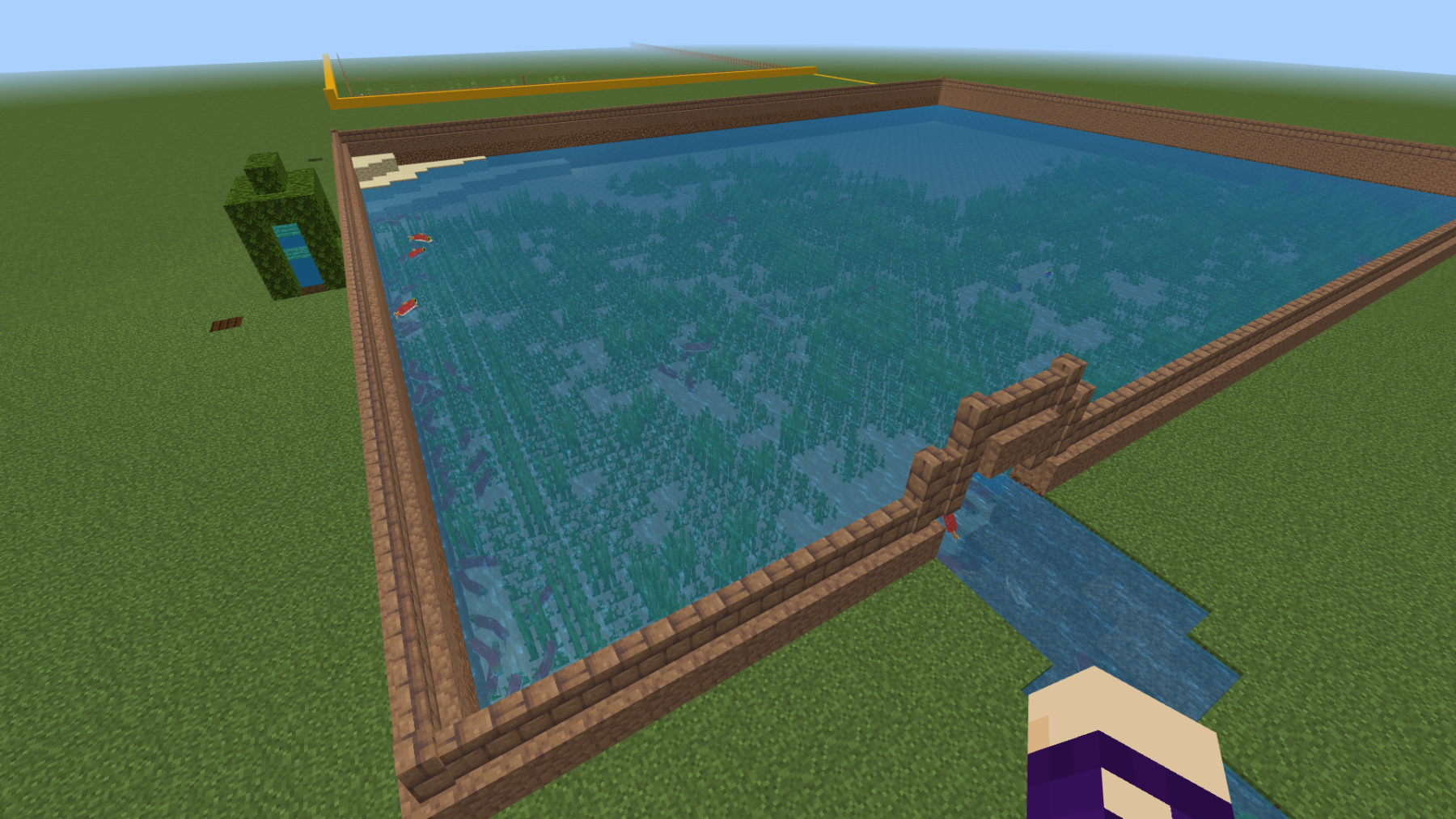 A pond with fish and underwater plants