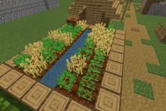 Ecological food production