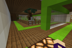  The main hall is built around a tree  