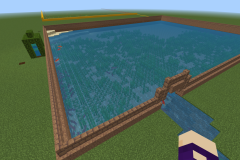  A pond with fish and underwater plants