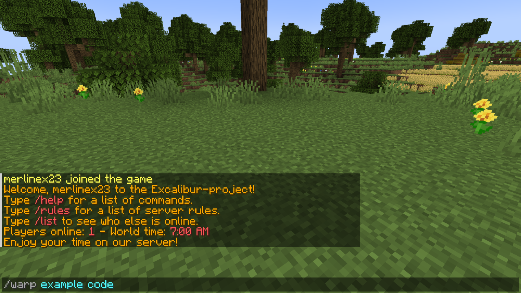 Once you’ve successfully entered the game, you’ll need to move to the world reserved for your group. Open the text chat by pressing T on your keyboard. Write /warp and your group’s world code. The code consists of one or two words. After writing the code, press Enter.
