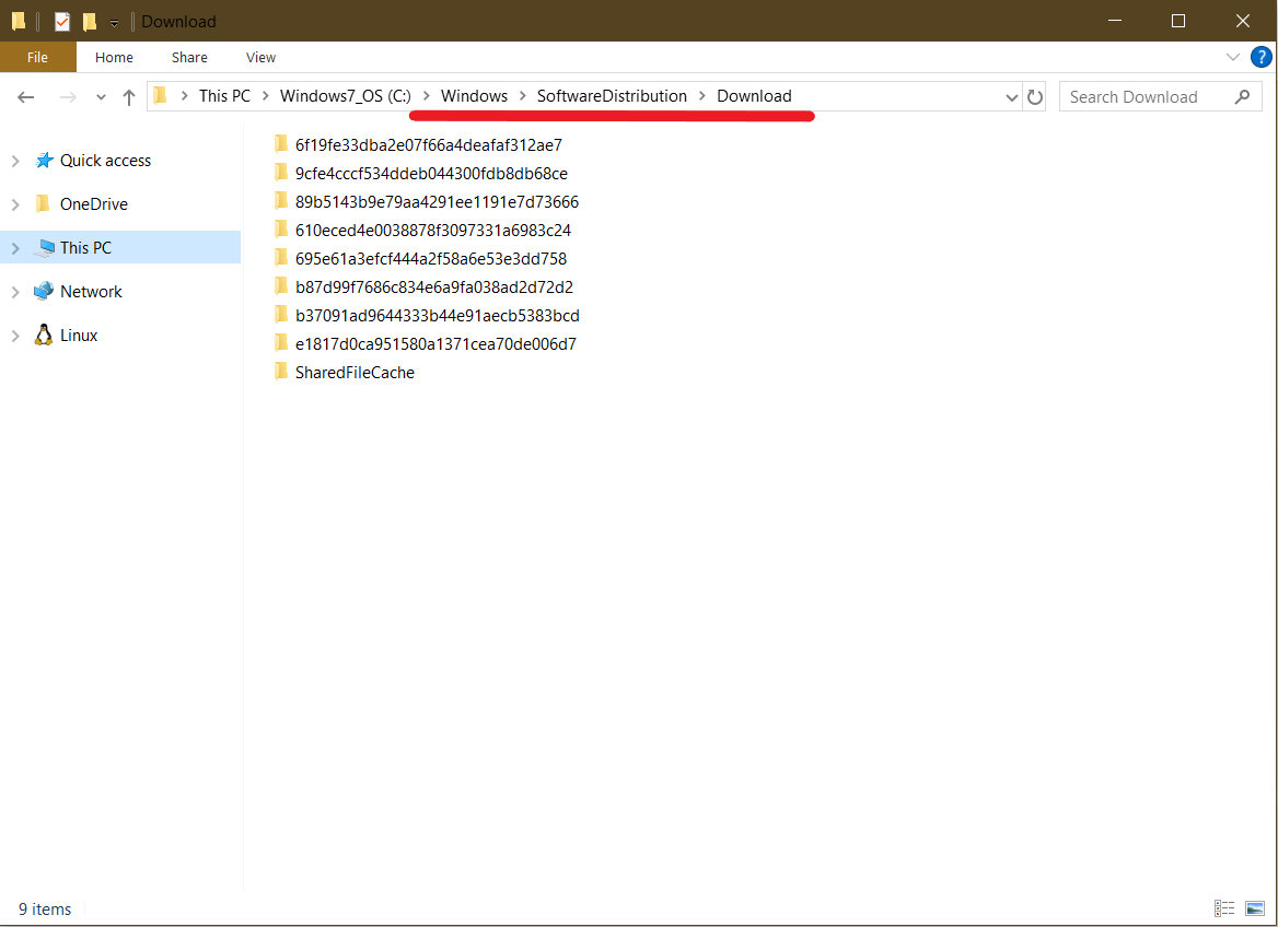 Open the File Explorer and find the location C:/Windows/SoftwareDistribution/Download. Delete all files in this folder.